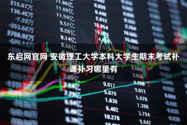 东启网官网 安徽理工大学本科大学生期末考试补课补习哪里有