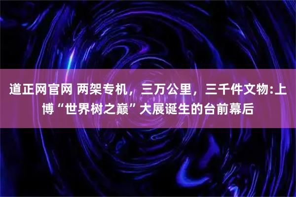 道正网官网 两架专机，三万公里，三千件文物:上博“世界树之巅”大展诞生的台前幕后