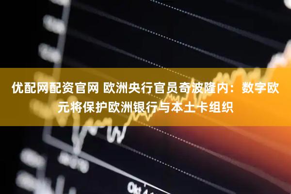优配网配资官网 欧洲央行官员奇波隆内：数字欧元将保护欧洲银行与本土卡组织